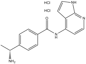 Y-39983 HCl (Y-33075) 173897-44-4
